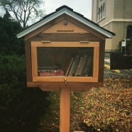 Little Free Library #20